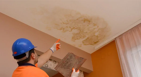 Ricerca infiltrazioni acqua a Bologna